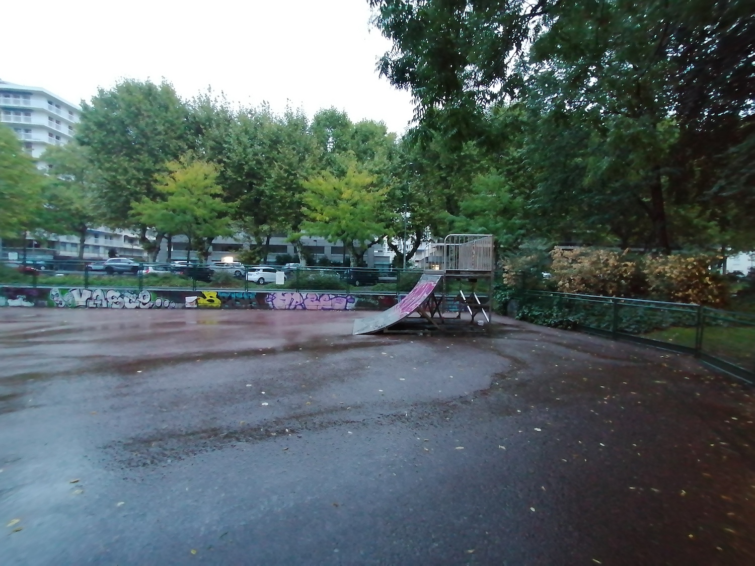 Parc du Verney skatepark